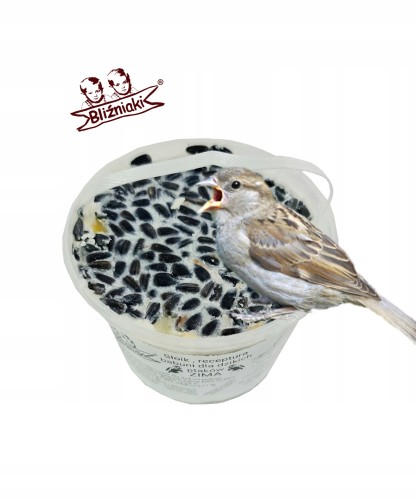 5a1abc044184823a1c563c88f547