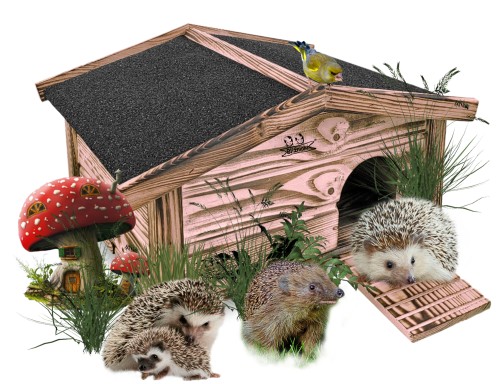 InCollage_20251016_162713859.jpg