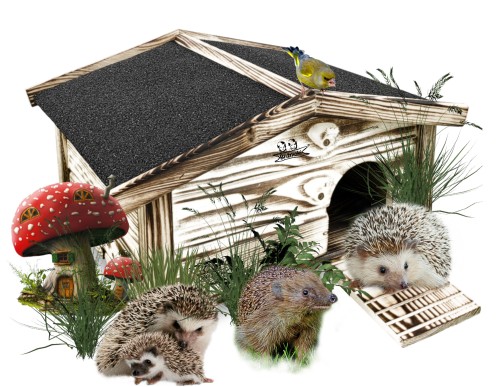 InCollage_20251016_161823239.jpg