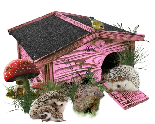 InCollage_20251016_161749340.jpg