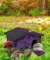 InCollage_20251017_125336890.jpg