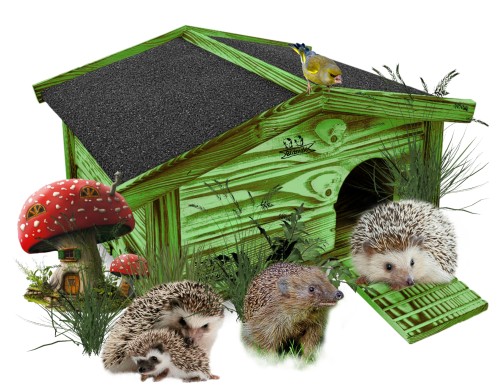 InCollage_20251016_162353848.jpg