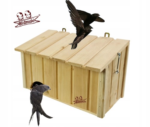 6b1ff0ec494898d9b3c013f01ddb