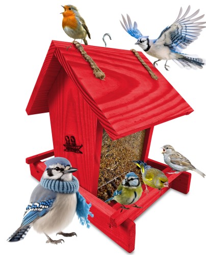 InCollage_20260114_132400458.jpg