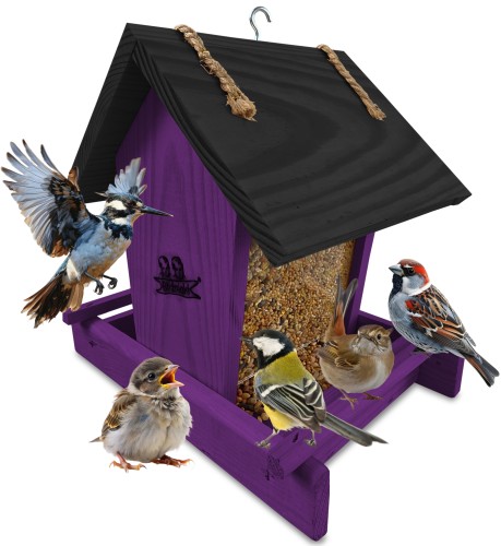InCollage_20260122_142254546.jpg