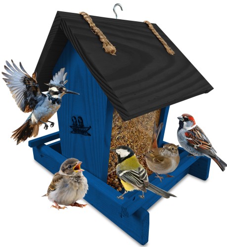 InCollage_20260122_142343195.jpg