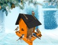 InCollage_20260122_171120444.jpg