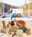 InCollage_20260126_142206598.jpg