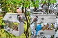 InCollage_20260126_155545880.jpg