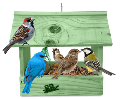 InCollage_20260125_234600815.jpg