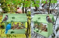 InCollage_20260126_155453033.jpg