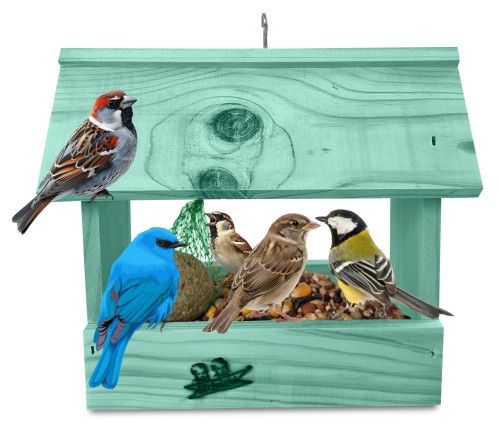 InCollage_20260126_104604974.jpg