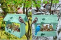 InCollage_20260126_155427386.jpg