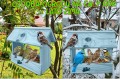 InCollage_20260126_155340606.jpg