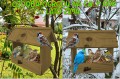 InCollage_20260126_155310868.jpg
