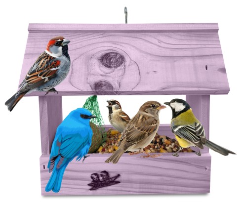 InCollage_20260126_111101870.jpg