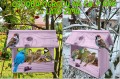 InCollage_20260126_155248546.jpg