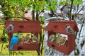 InCollage_20260126_155226422.jpg