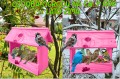 InCollage_20260126_154651111.jpg