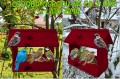 InCollage_20260126_155139368.jpg