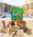 InCollage_20260126_141727283.jpg