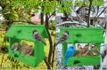 InCollage_20260126_155002128.jpg