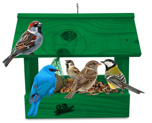 InCollage_20260126_131347116.jpg