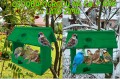 InCollage_20260126_154927452.jpg