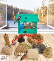 InCollage_20260126_141652847.jpg