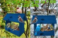 InCollage_20260126_154806248.jpg