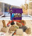InCollage_20260126_141422479.jpg