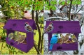 InCollage_20260126_154742870.jpg