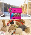 InCollage_20260126_141405289.jpg