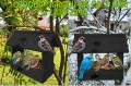 InCollage_20260126_154621317.jpg