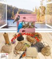 InCollage_20260126_141853211.jpg