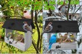 InCollage_20260128_120021236.jpg