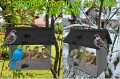 InCollage_20260128_115956313.jpg
