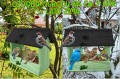 InCollage_20260128_115930422.jpg
