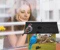 InCollage_20260127_203151205.jpg