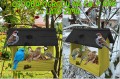 InCollage_20260128_115837362.jpg