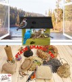 InCollage_20260128_142629079.jpg