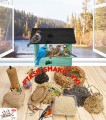 InCollage_20260128_142610304.jpg