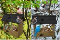 InCollage_20260128_115712322.jpg