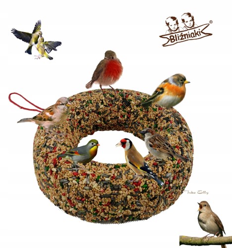 107404e0495497c1462d0b6d5172