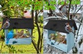 InCollage_20260128_115642425.jpg