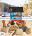 InCollage_20260128_142527524.jpg