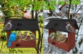 InCollage_20260128_115618994.jpg
