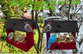 InCollage_20260128_115527501.jpg
