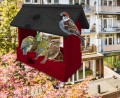 InCollage_20260128_121529842.jpg