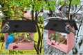 InCollage_20260128_115455871.jpg